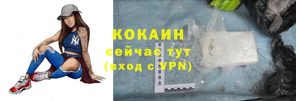 apvp Михайлов