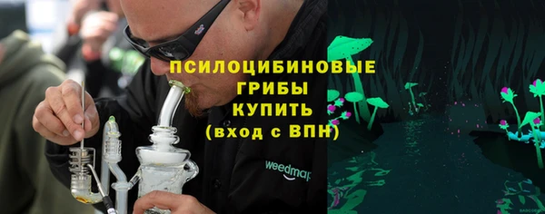 apvp Михайлов