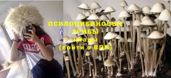прущий лед Мегион