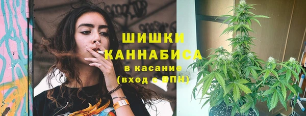 apvp Михайлов
