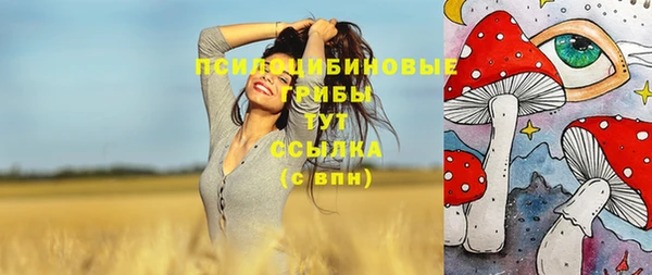 прущий лед Михайловка