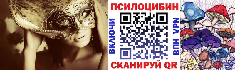 Галлюциногенные грибы Magic Shrooms  Купить закладки  Кыштым 